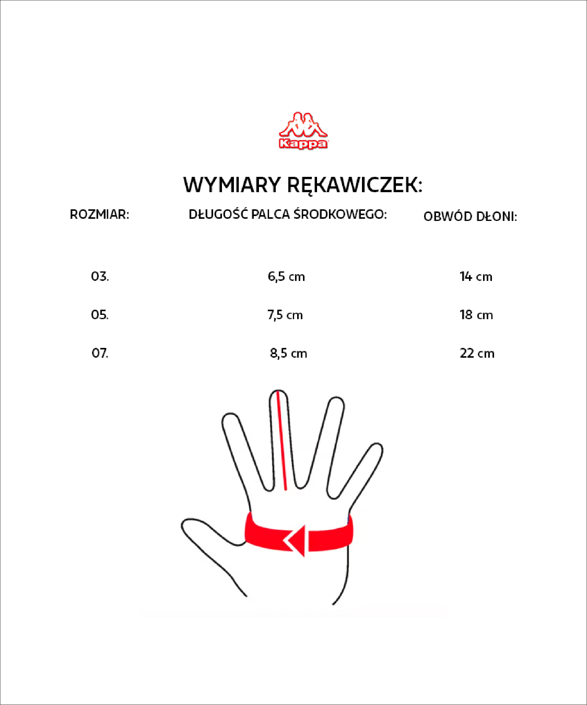 KAPPA Rękawiczki Zimowe